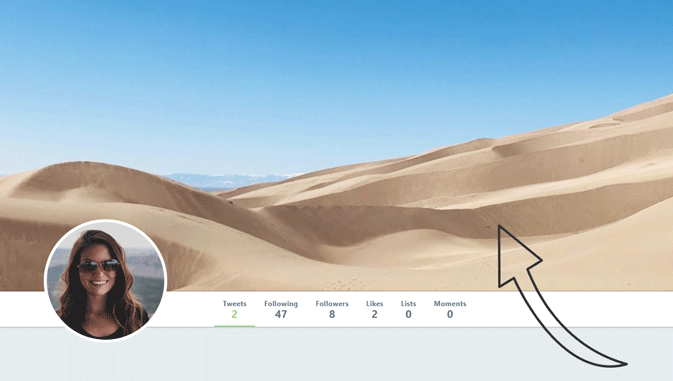 2025 Complete Guide Twitter Photo Sizes Profile Header Etc