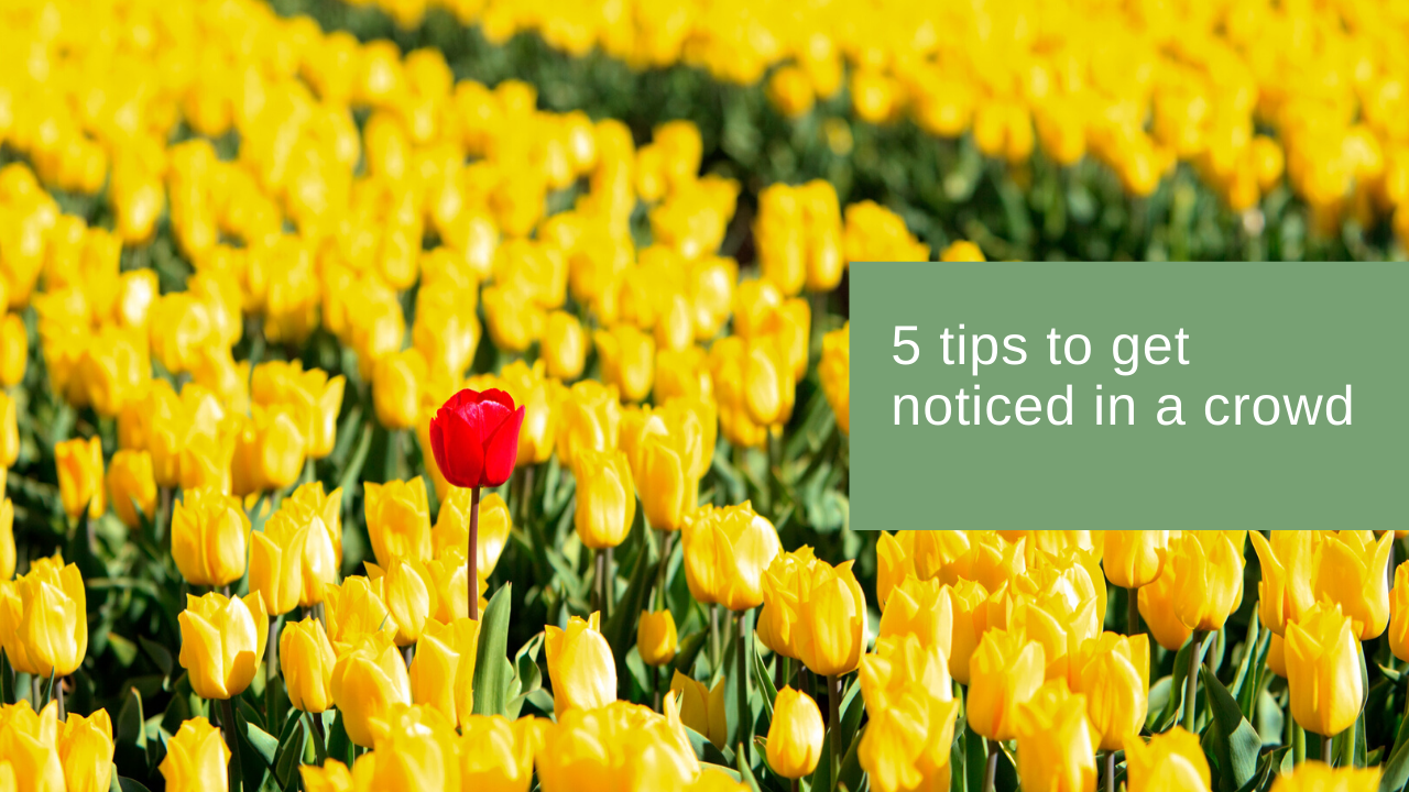 5 Tips To Get Noticed In A Crowd The Umbrella Tree 5 Tips To Get Noticed In A Crowd The Umbrella Tree